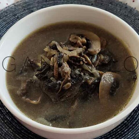 MUSHROOM SOUP WITH MILK